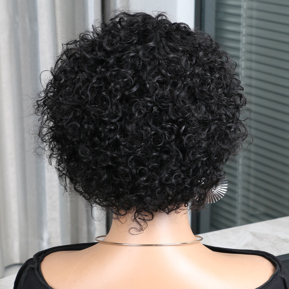 Pixie Cut Wig Human Hair 13x4  - Short Pixie Cut Wig Human Hair Cheap 评论和价格